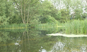 places to fish: Essex