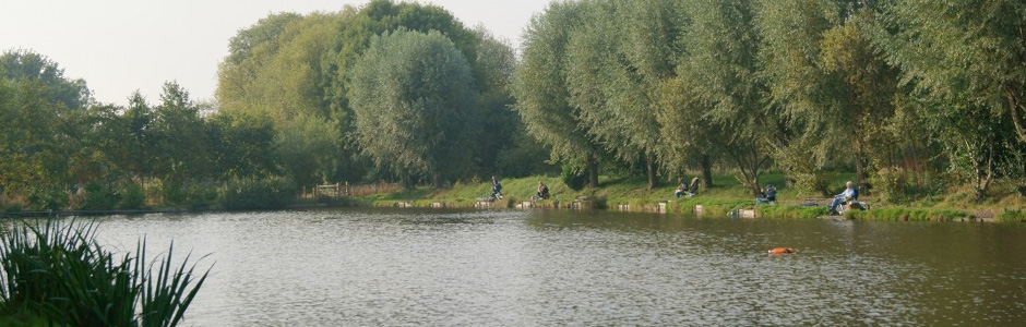 Meadow View Fisheries