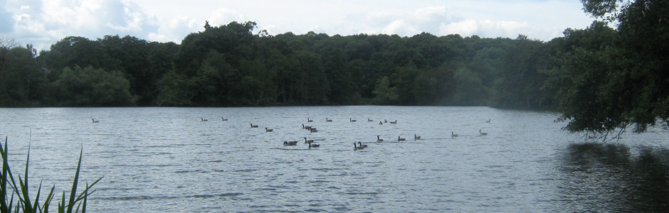 Allestree Lake