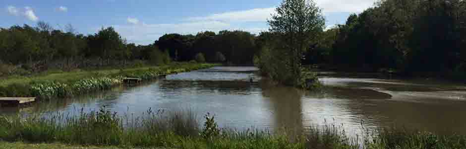 Bannister House Farm Fishery